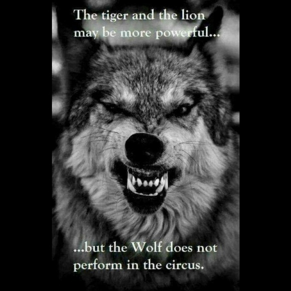 Meet your Posher, Dominique - Picture 2 of 2